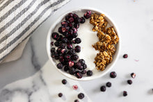 Freeze Dried Wild Maine Blueberries | Harvested on Tribal Land