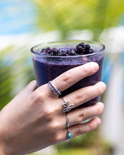 Freeze Dried Wild Maine Blueberries | Harvested on Tribal Land