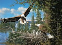 Nesting Eagles 1000pc puzzle