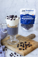 Freeze Dried Wild Maine Blueberries | Harvested on Tribal Land