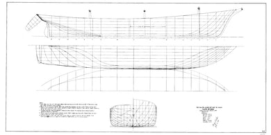 Flora Morang lines drawing by George Parker