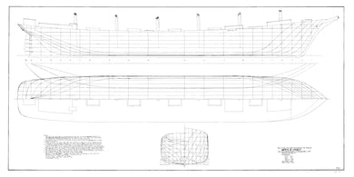 Mertie B. Crowley lines drawing by George Parker
