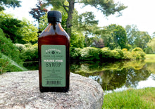 Maine Pine Syrup